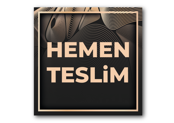 HEMEN_TESLIM_IKON.png (136 KB)