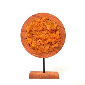 Orange Round Moss Yosunlu Dekoratif Obje - TepeHome